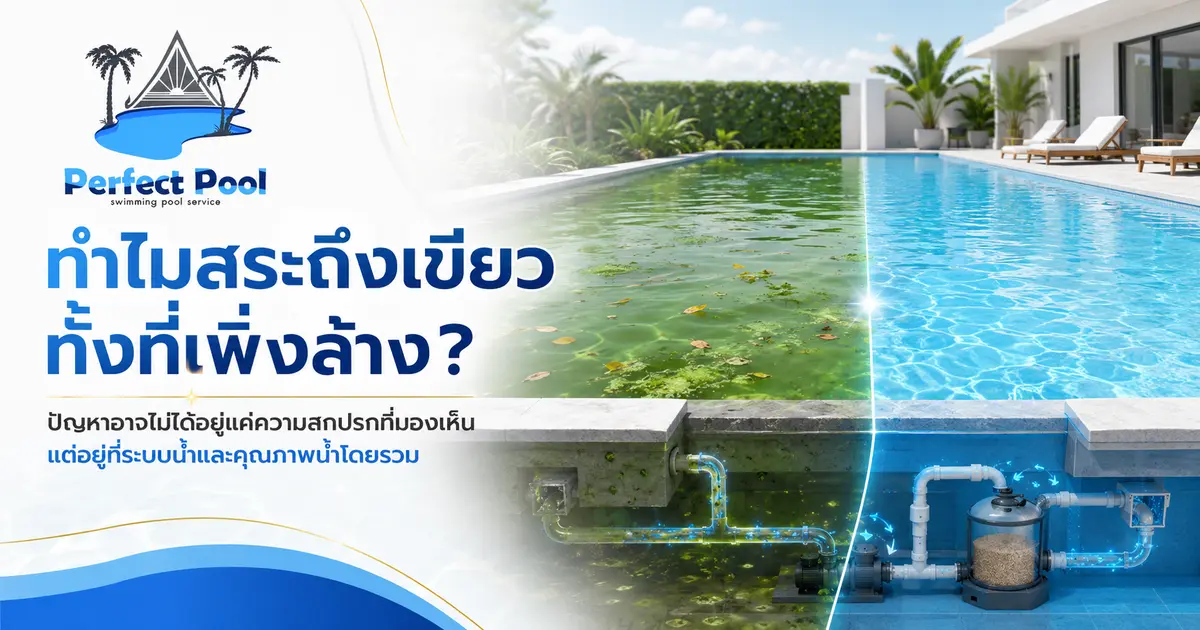 ทำไมสระถึงเขียว ทั้งที่เพิ่งล้าง?