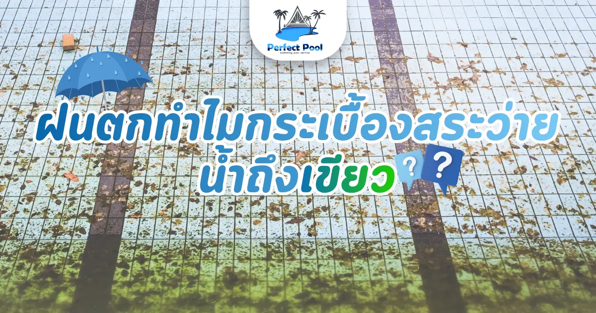 ฝนตกทำไมกระเบื้องสระว่ายน้ำถึงเขียว