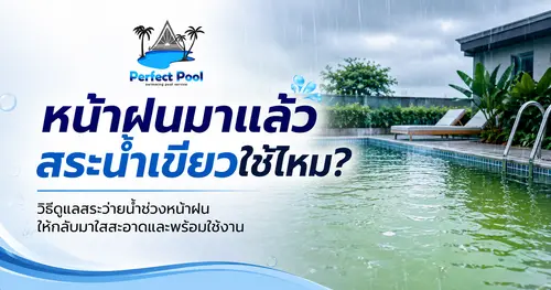 หน้าฝนมาแล้ว สระน้ำเขียวใช่ไหม? วิธีดูแลสระว่ายน้ำให้กลับมาใสสะอาด