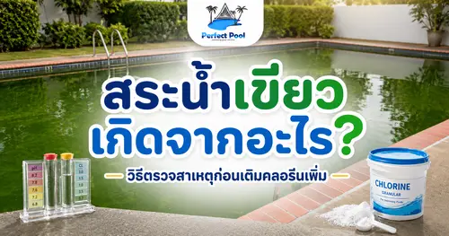 สระน้ำเขียวเกิดจากอะไร? เช็กก่อนเติมคลอรีนเพิ่ม