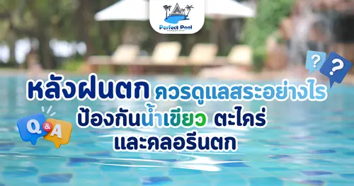 ดูแลสระหลังฝนตกอย่างไร ป้องกันน้ำเขียว ตะไคร่ และคลอรีนตก
