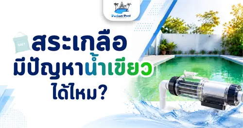 สระเกลือน้ำเขียวได้ไหม? สาเหตุ วิธีตรวจ และแนวทางแก้
