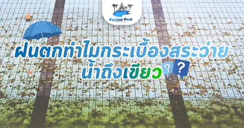ฝนตกทำไมกระเบื้องสระว่ายน้ำถึงเขียว