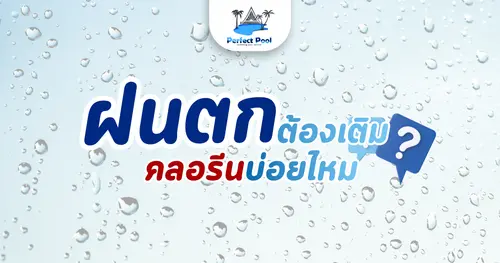 ฝนตกต้องเติมคลอรีนบ่อยไหม