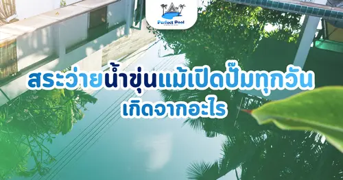 สระว่ายน้ำขุ่นแม้เปิดปั๊มทุกวัน เกิดจากอะไร