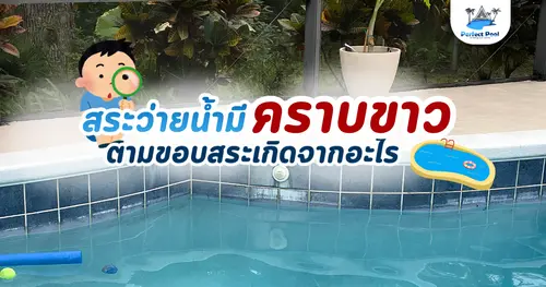 สระว่ายน้ำมีคราบขาวตามขอบสระเกิดจากอะไร