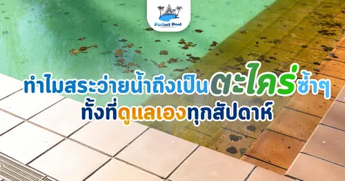 ทำไมสระว่ายน้ำถึงเป็นตะไคร่ซ้ำๆ ทั้งที่ดูแลเองทุกสัปดาห์