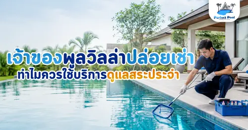 เจ้าของพูลวิลล่าปล่อยเช่า ทำไมควรมีบริการดูแลสระประจำ