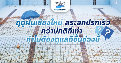 ฤดูฝนเชียงใหม่ สระสกปรกเร็วกว่าปกติกี่เท่า ทำไมต้องดูแลถี่ขึ้นช่วงนี้