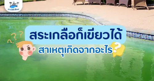 สระว่ายน้ำระบบเกลือก็เขียวได้ สาเหตุเกิดจากอะไร