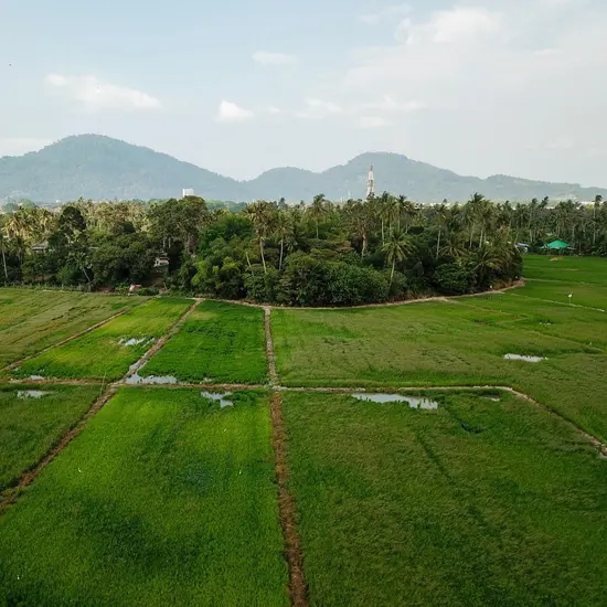บริการขายที่ดิน เชียงราย เลือกทำเลพร้อมต่อยอดชีวิตใหม่