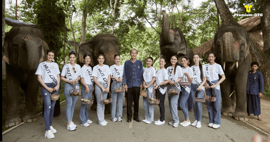 ตัวอย่างเสื้อทีมสำหรับกิจกรรมองค์กร ผลิตด้วยงานสกรีนคุณภาพจาก Premium-DTG