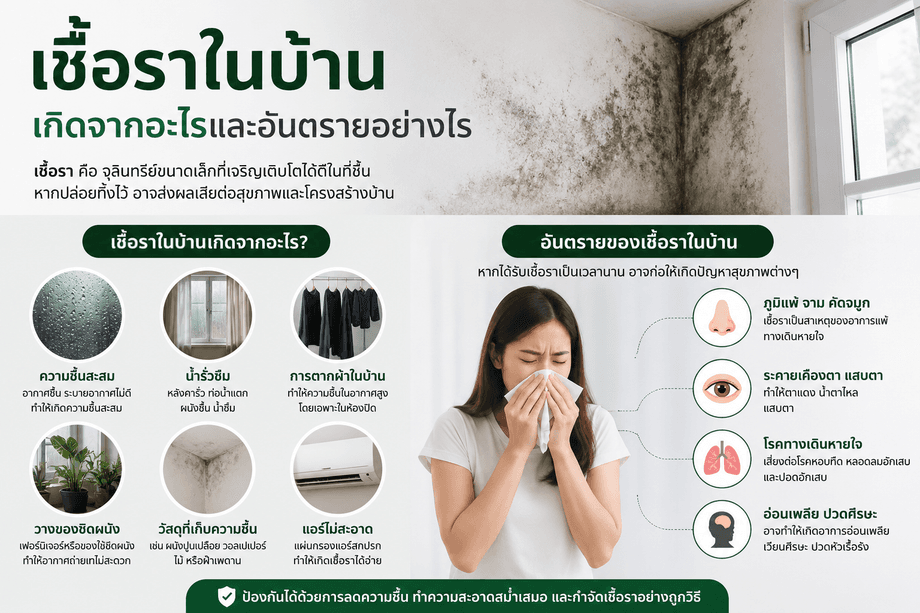 เชื้อราในบ้านเกิดจากอะไรและอันตรายอย่างไร