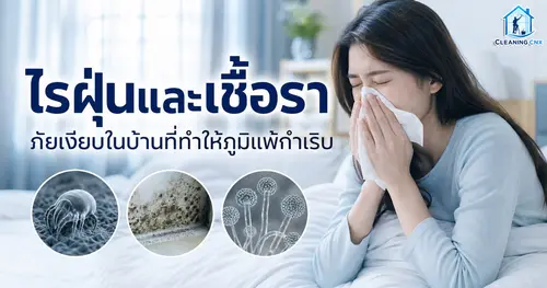 ไรฝุ่นและเชื้อรา ภัยเงียบในบ้านที่ทำให้ภูมิแพ้กำเริบ