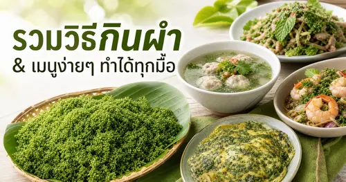 ผำ กินยังไง รวมวิธีกินผำและเมนูง่ายๆ ทำได้ทุกมื้อ