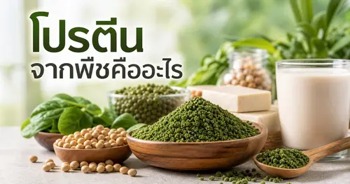 โปรตีนจากพืชคืออะไร ทำไมผำเป็นทางเลือกที่ดี