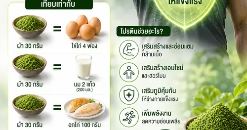 กินผำ 30 กรัมต่อเนื่อง ร่างกายได้รับโปรตีนคุณภาพสูง