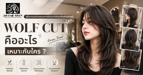 Wolf Cut คืออะไร เหมาะกับใคร คู่มือเทรนด์ทรงผมเกาหลีฉบับเข้าใจง่ายโดยร้านทำผม